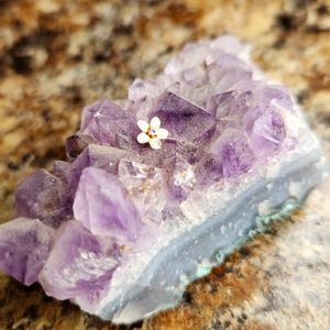 Anatometal Rose Gold with CZ Plumeria Stud